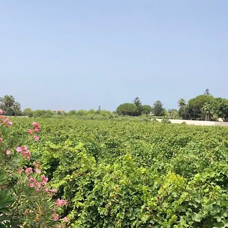 Stella Marina Marsala